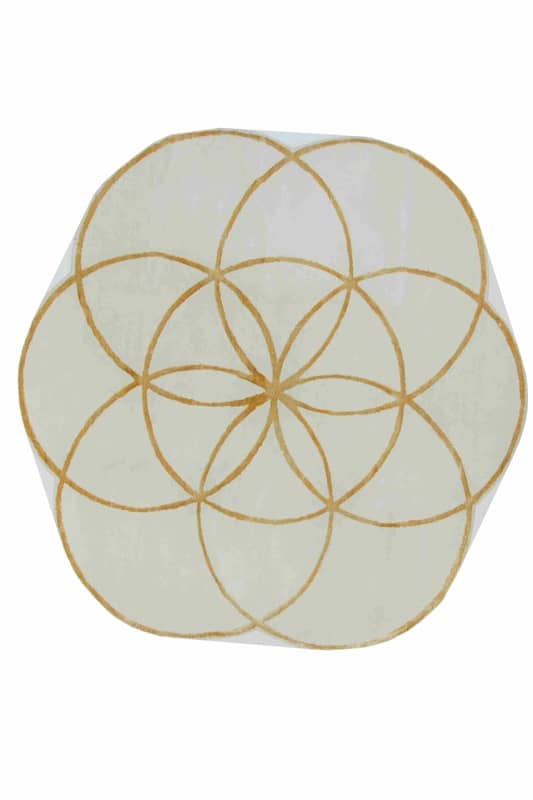 Modern Lotus Teppich 206x206_0