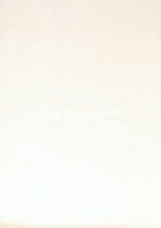 LORIBAF Teppich  304x201_0