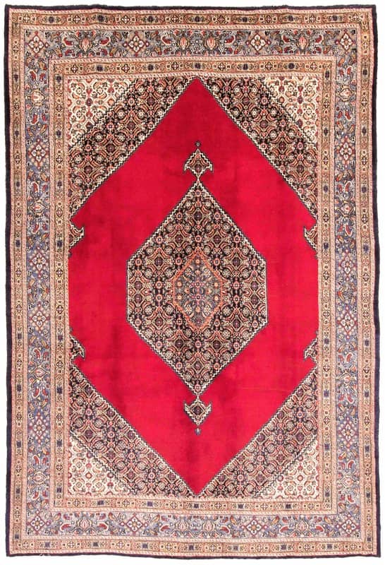 Birjand Teppich 315x210_0