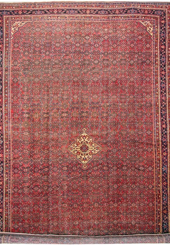 HOSENABAD Teppich 530x344 - Image 1