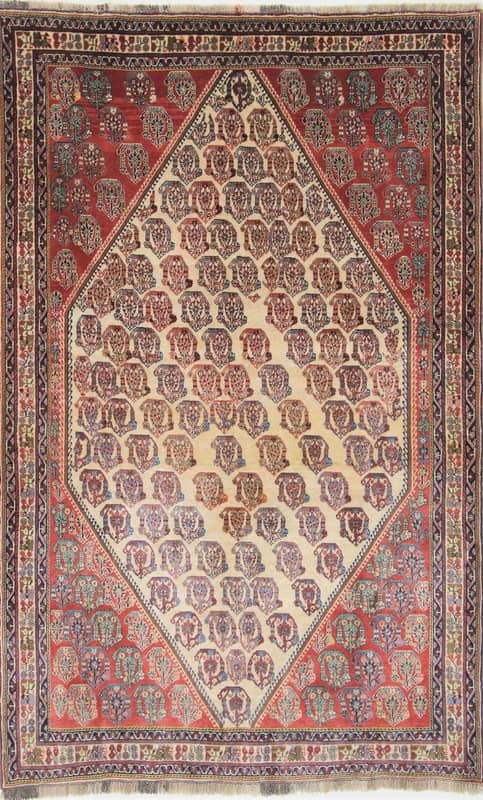 kashkoli  Carpet 247x149 - Image 1
