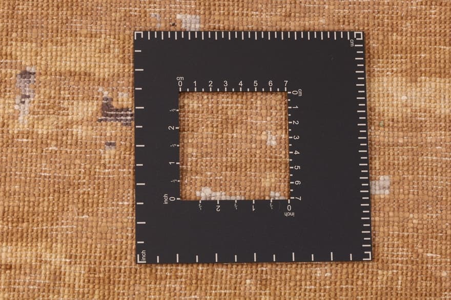 ModernLotus 305x247_5