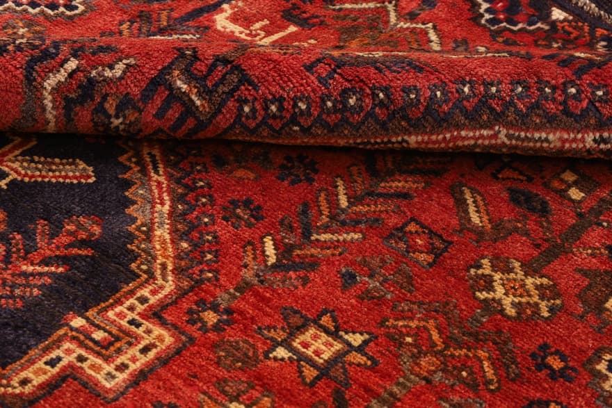 Schiraz Carpet 262x147_2