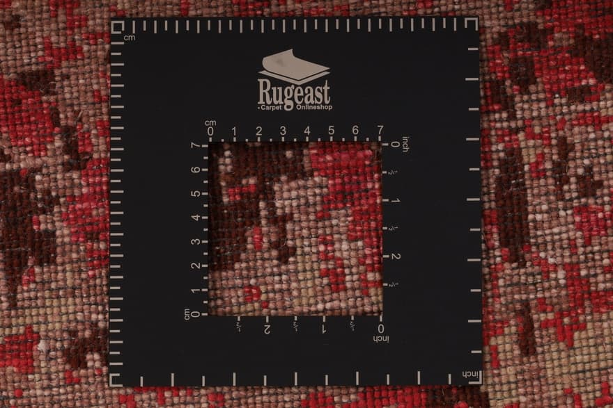 MODERN LOTUS  TEPPICH  308x204_5