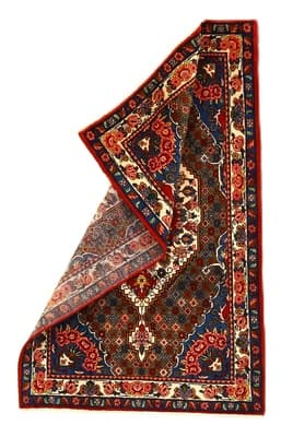 BAKHTIAR Teppich 163x101 - alternate view