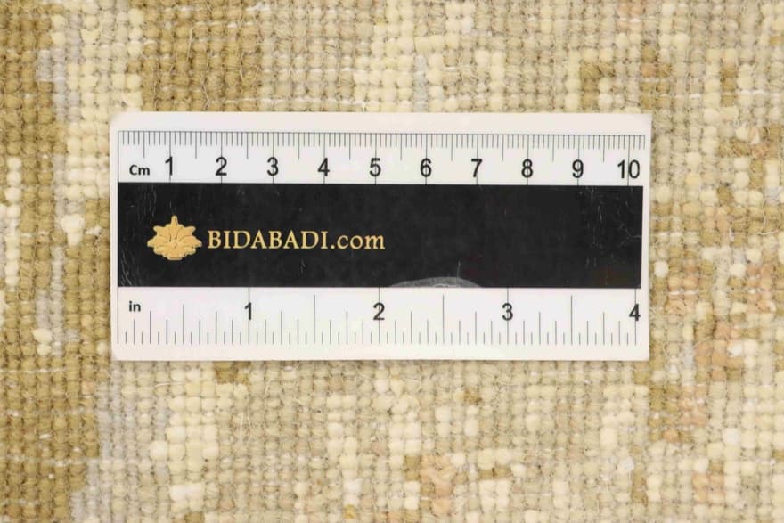 MODERN LOTUS 251x80_5