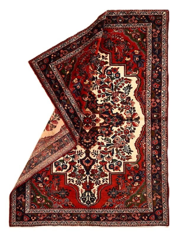 HAMADAN Teppich 222x160_1