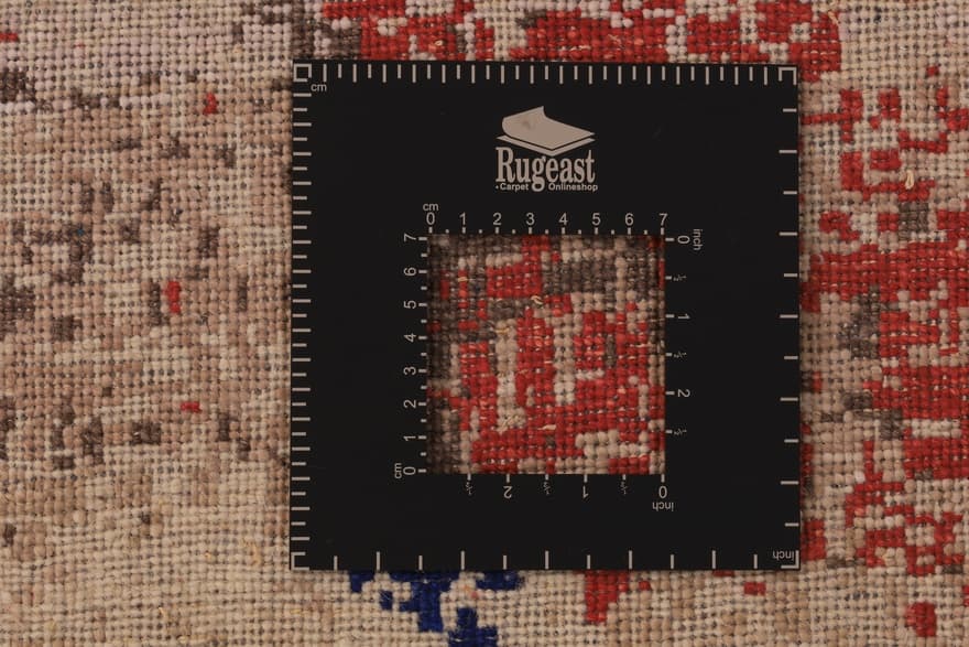 Modern Lotus  243x172_5