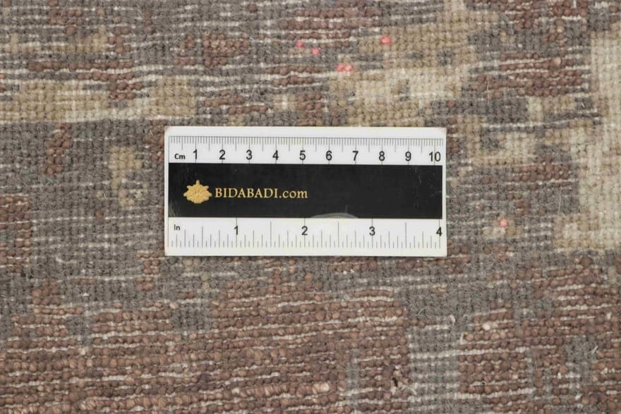 MODERN LOTUS 298x202_4