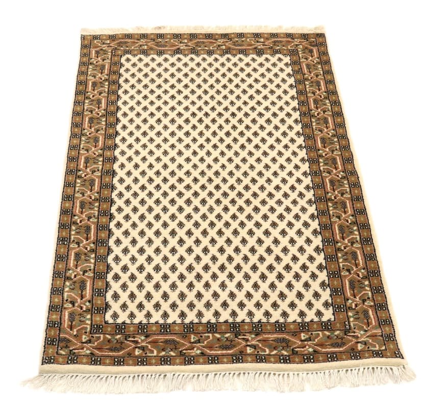 Sarough Teppich 163x93_3