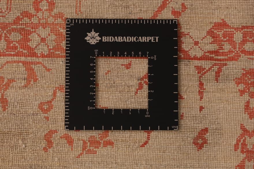 Modern Lotus  241x172_4