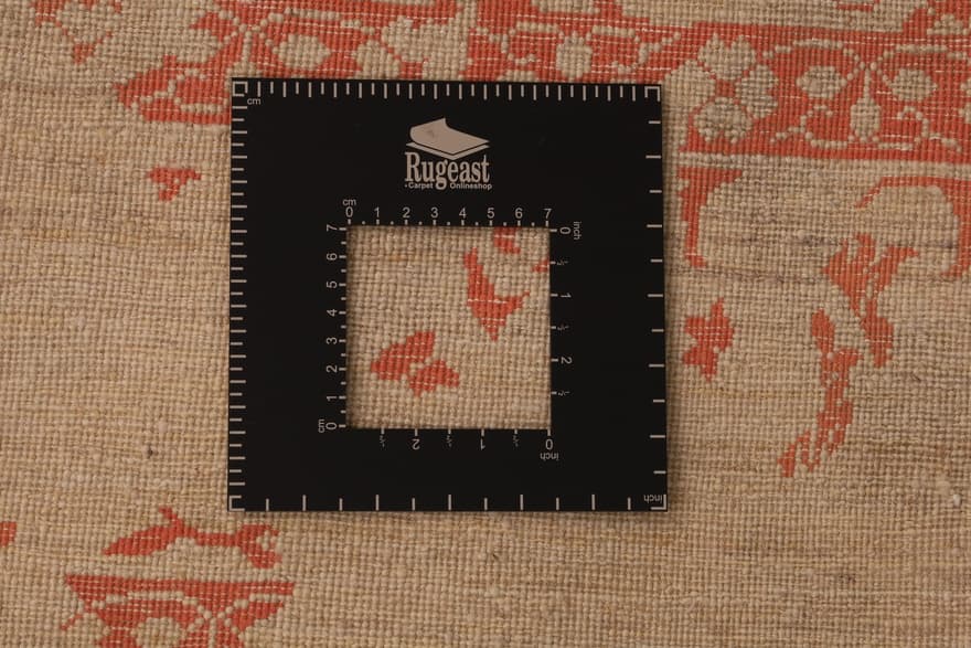 Modern Lotus  241x172_5