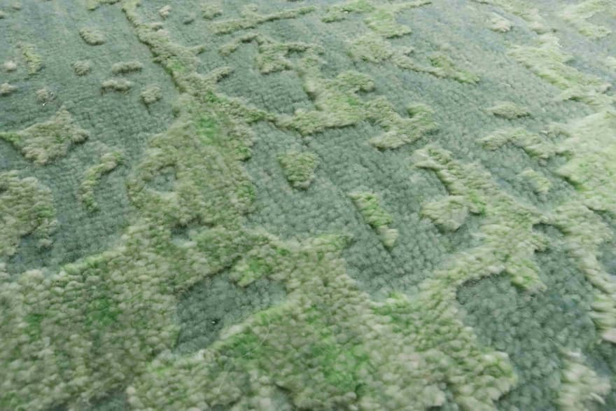 Modern Lotus NEOMINT 306x251_4