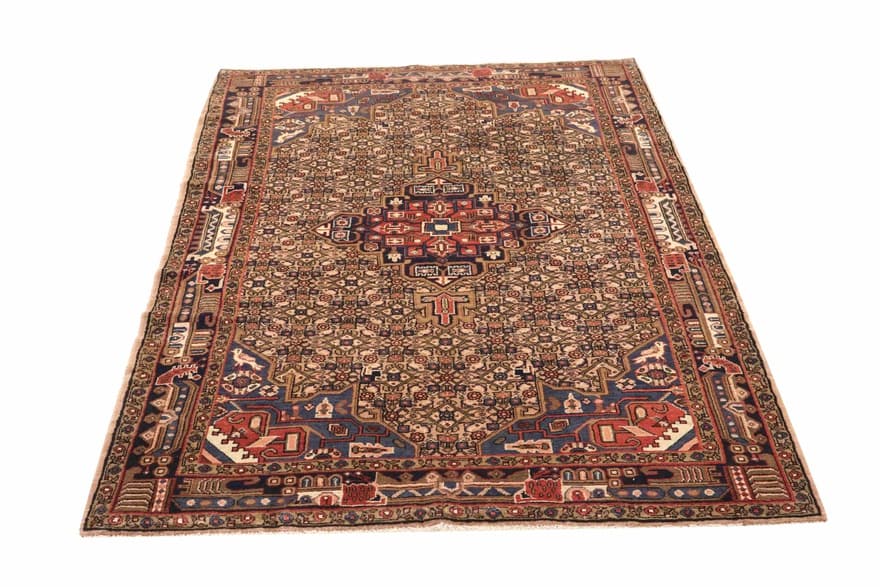 KOLEYAEI  Teppich 260x152_1