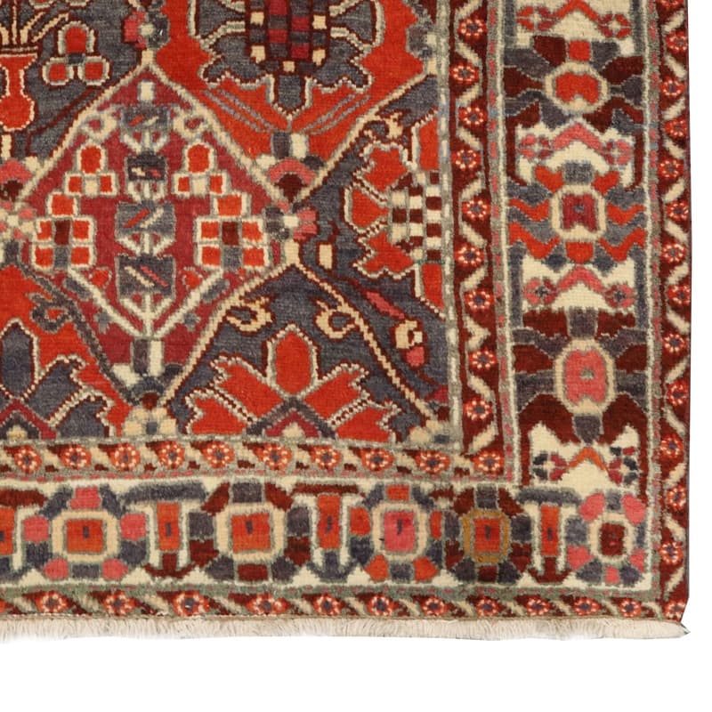 Bakhtair Carpet 208x163_2