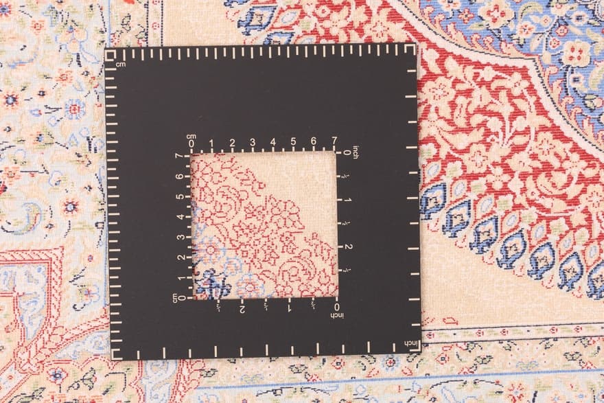 GhomCamellia 150x100_5