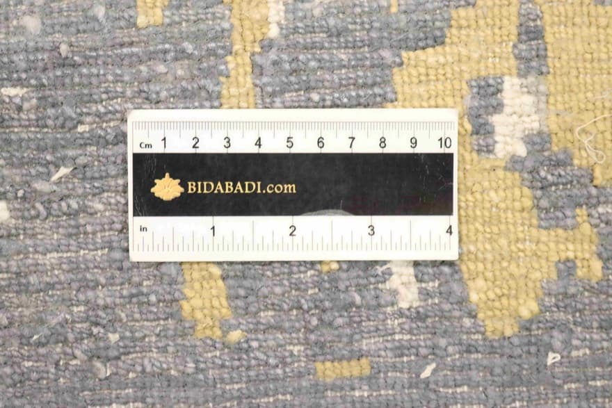 MODERN NEPAL 294x204_2