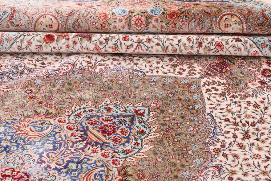 Ghom Daisy  350x250_1