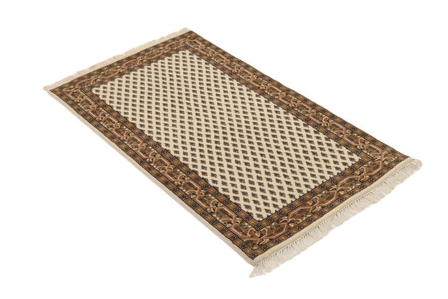 Sarough Teppich 163x93_4