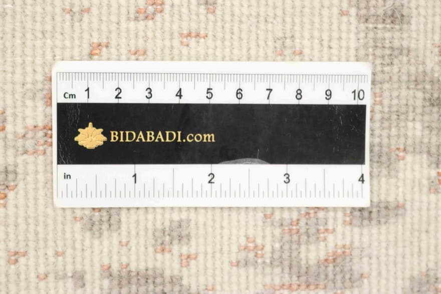 MODERN LOTUS 241x170_5