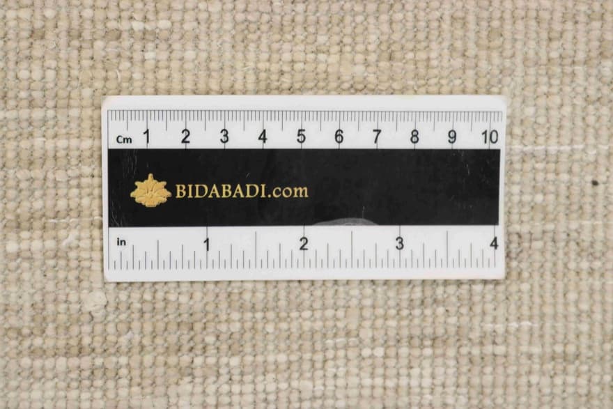 MODERN LOTUS 245x173_3