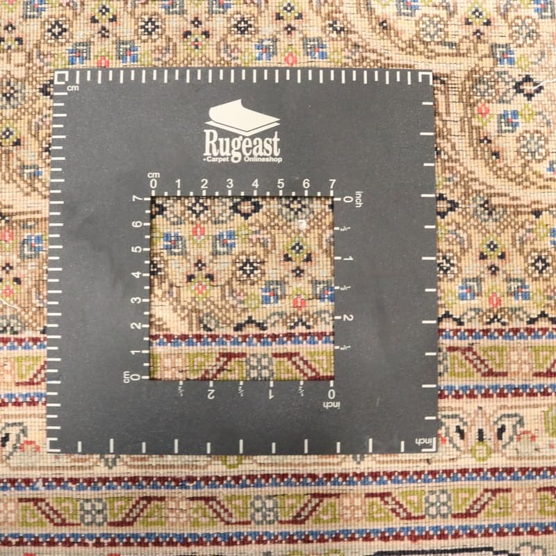 Tabriz 50Raj Teppich 300x202_5