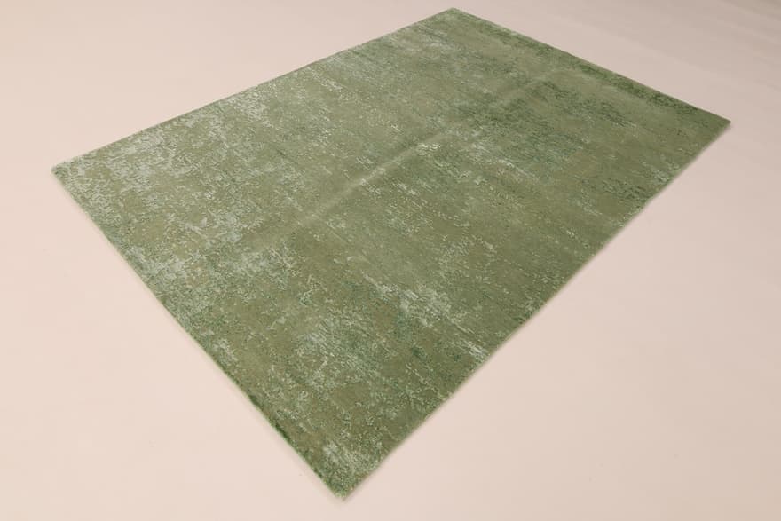 ModernLotus 205x146_3