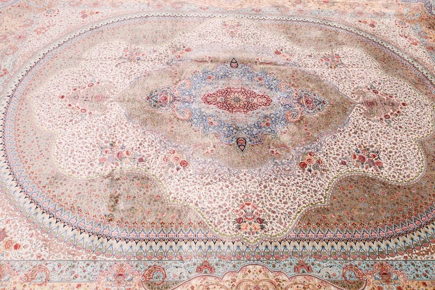 Ghom Daisy  350x250_3