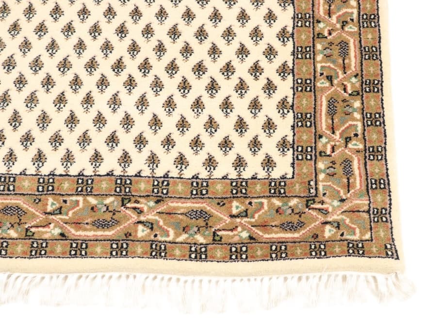 Sarough Teppich 163x93_2