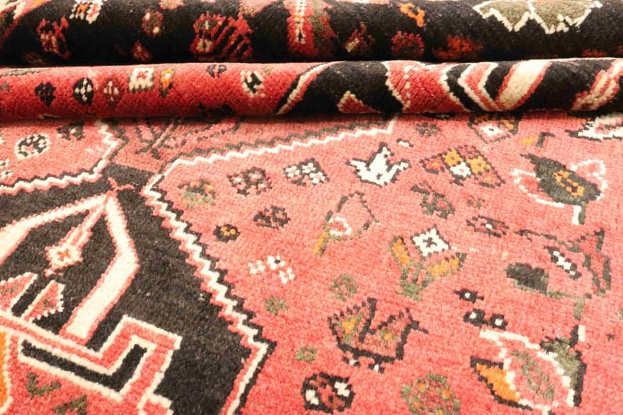 Shiraz 262x183