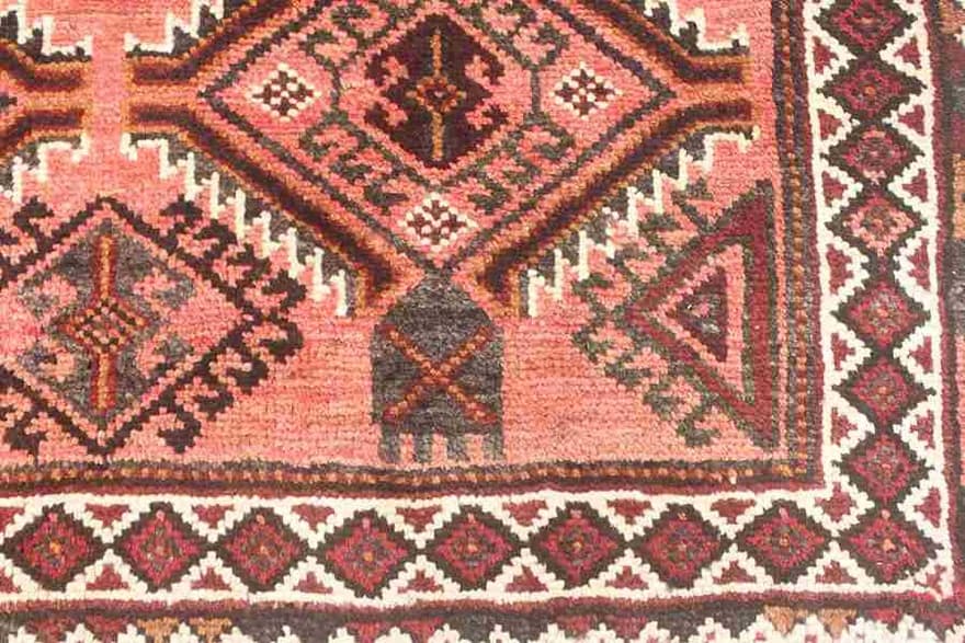 Shiraz 248x150 - Image 6