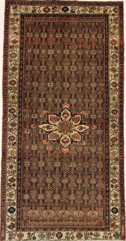 HAMADAN Carpet 210x107