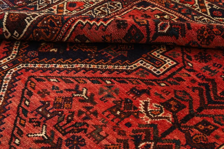 Schiraz 294x218