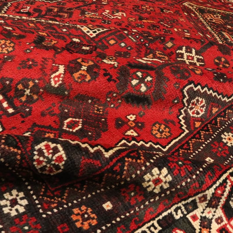 Shiraz 295x221