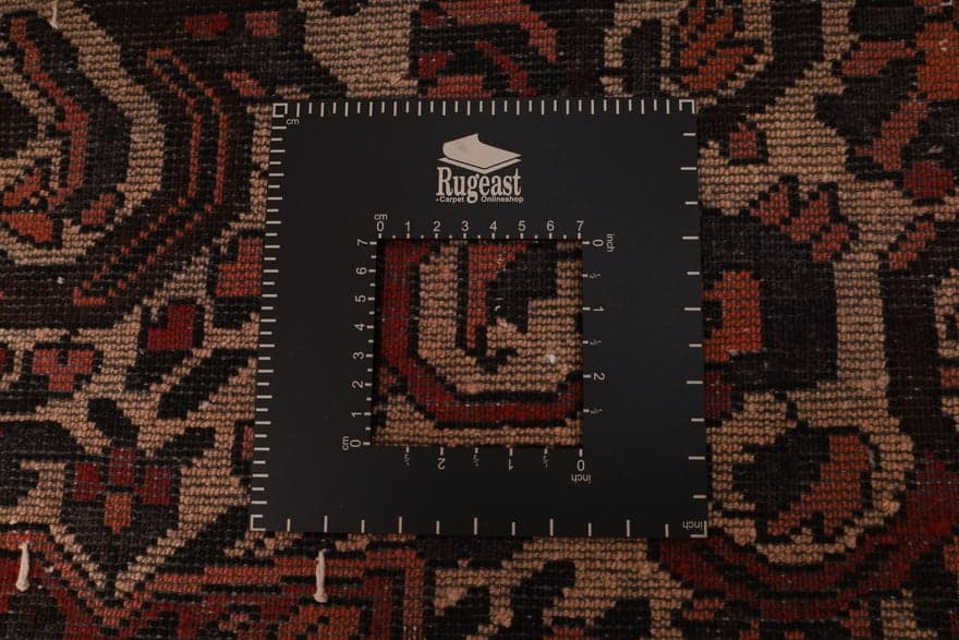 BAKHTIAR Teppich 299x210 - Image 6