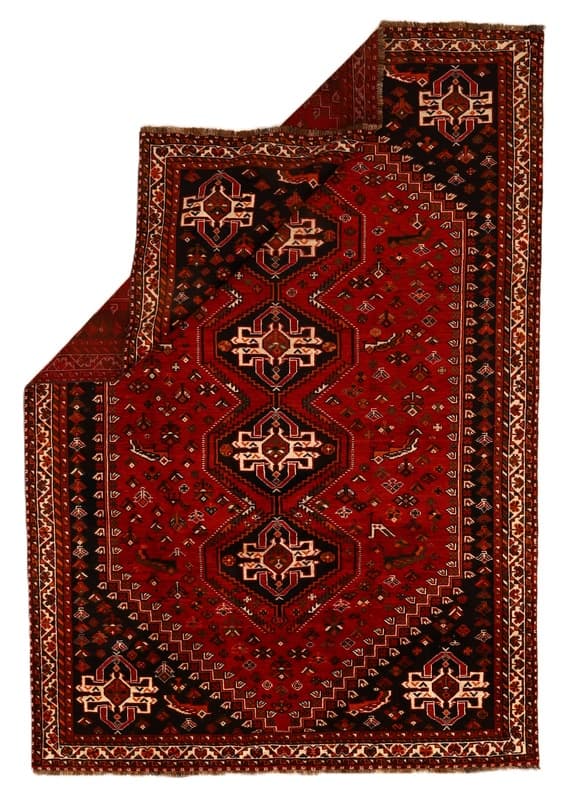 SHIRAZ  Carpet  310x204