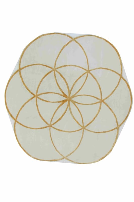 Modern Lotus Teppich 206x206