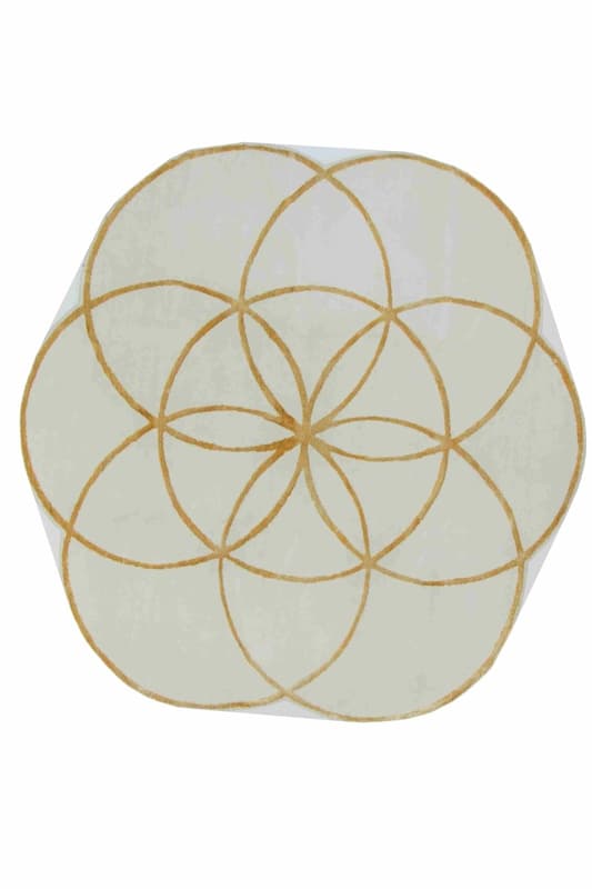 Modern Lotus Carpet 206x206