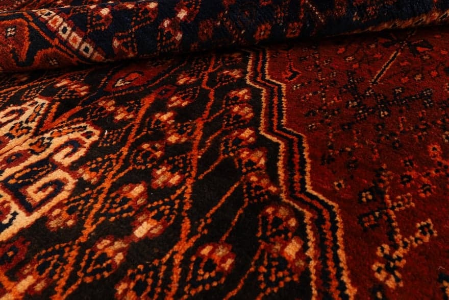 Ghashgahi Carpet  258x155 - Image 4