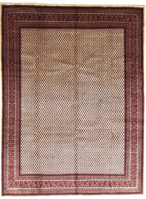 Sarough Carpet 427x322