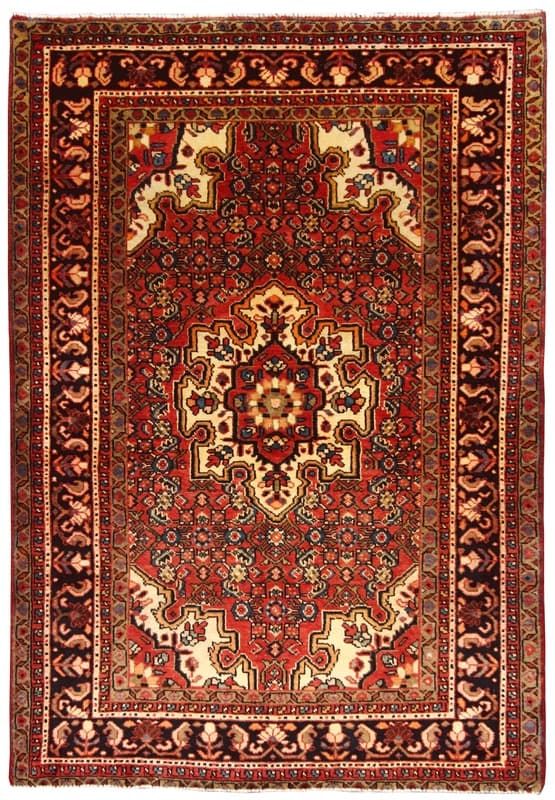 HOSEANABAD Teppich 212x140