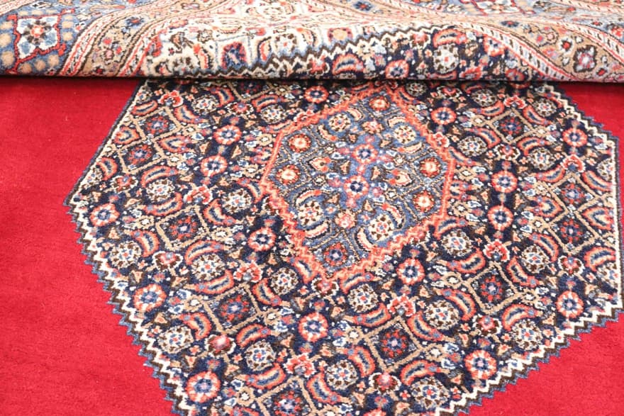 Birjand Teppich 315x210