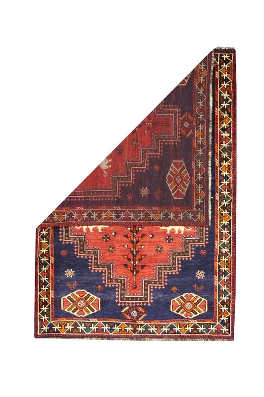 SHIRAZ 235x165