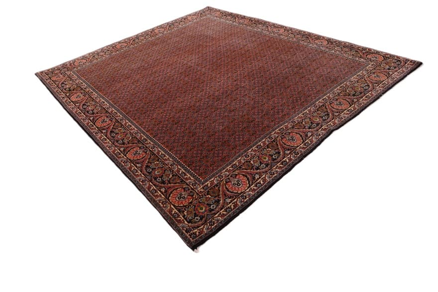 Bidjar carpet 292x256