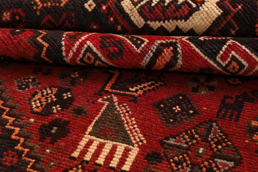 Schiraz Carpet 238x147