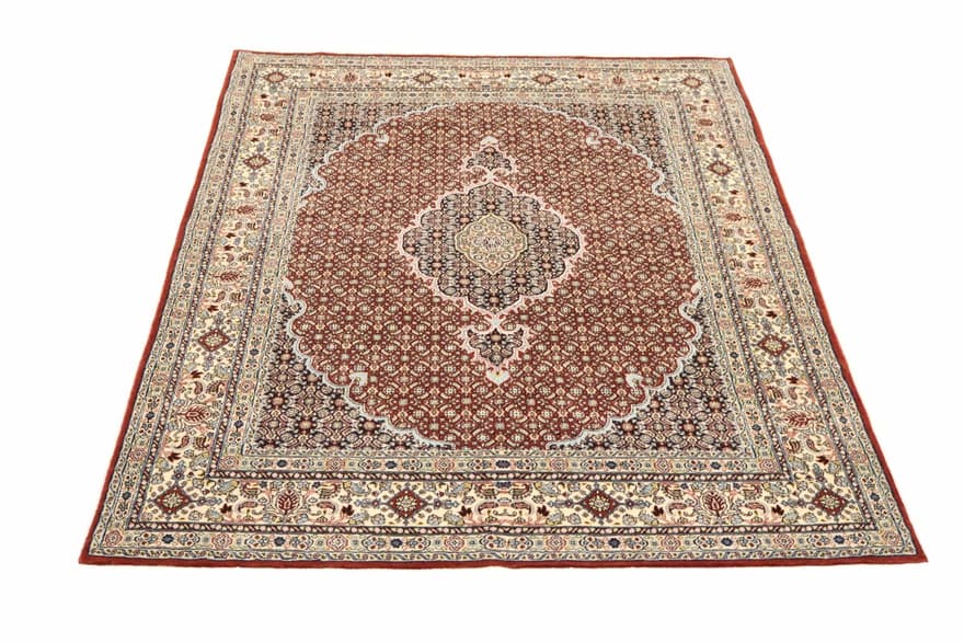 MOUD Carpet 249x165