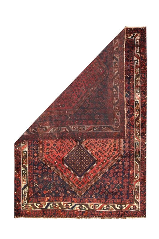 Shiraz 285x205