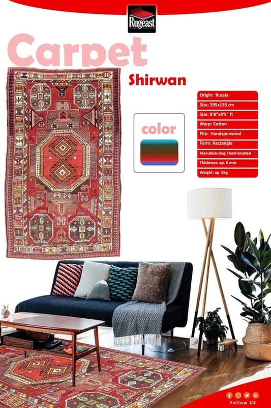 Shirwan Carpet 295x135