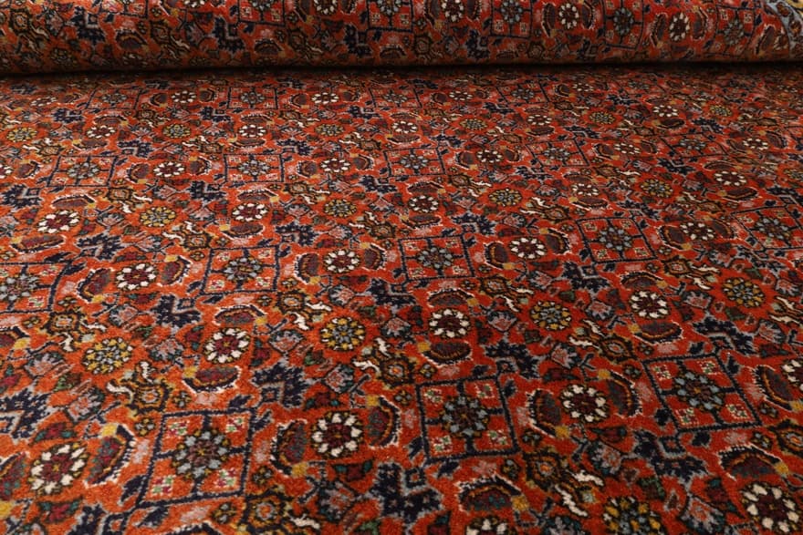 Bidjar Carpet 342x247