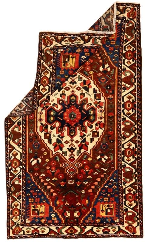 Antiqe BAKHTIAR Carpet 262x151 - Image 2